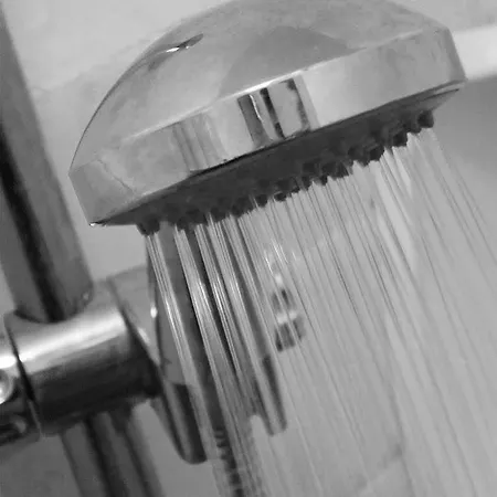 شباب آنا ماري بيت شباب أمستردام